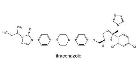 Itraconazole - Doctor Fungus