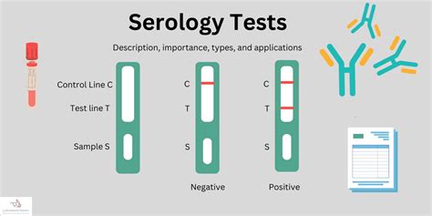 Serology Test: Description, types, importance