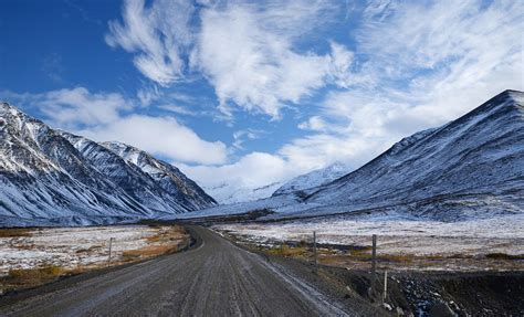 Arctic Circle Adventure Tour by Land Cruise Excursion in Fairbanks AK