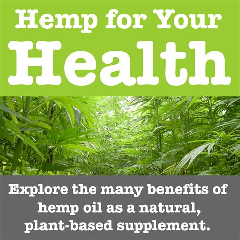 Hemp for Your Health: The Benefits of Hemp Oil