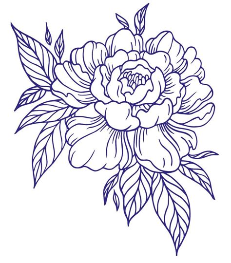 Peony embroidery pattern outline | Flower line drawings, Tattoo ...