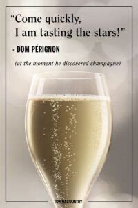 Champagne Memes - The Expensive Champagne Guide