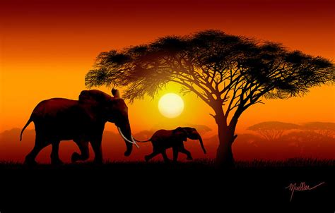 Baby African Elephants In Sunset