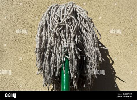 Mop or mops hi-res stock photography and images - Alamy