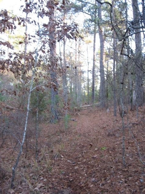 Hickory Knob State Park Mountain Bike Trail in Mccormick, South ...