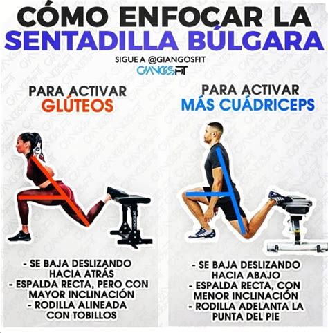 Sentadilla búlgara | Ejercicios, Rutinas de entrenamiento, Ejercicios ...