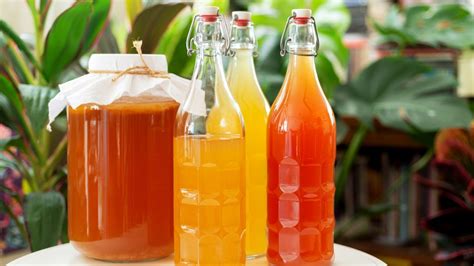 How many of these Indian kombucha brands have you tried? | Condé Nast ...