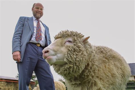 Ian Wilmut, Scientist Behind Dolly the Cloned Sheep, Is Dead at 79 ...