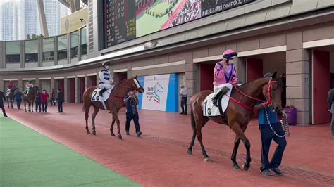 HKJC Racing on Twitter: "On their way out for the afternoon's feature ...