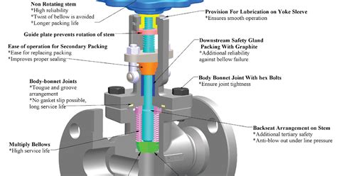 What are the Components of Globe Valve