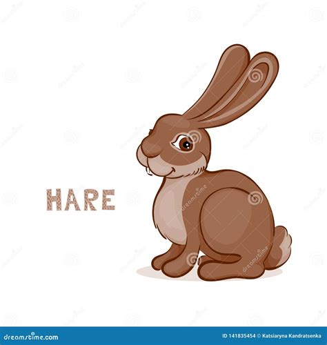 A Cartoon Cute Hare, Isolated on a White Background Stock Vector ...