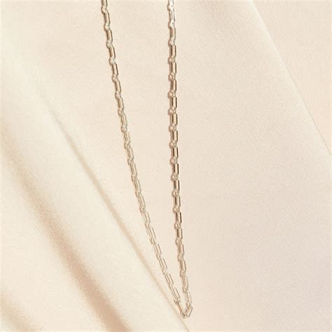 Silver Chain Necklace - Swan