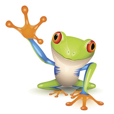 27,900+ Tree Frogs Stock Photos, Pictures & Royalty-Free Images - iStock