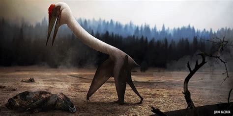 TIL of the Quetzalcoatlus named after the mesoamerican snake god and ...