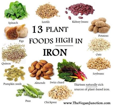 The 25+ best Foods high in iron ideas on Pinterest