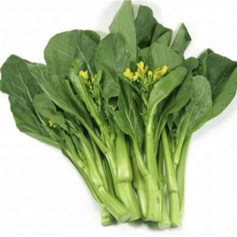 Kai-Lan | Chinese Broccoli Seed - ActiveVista for Market-Farm & Garden