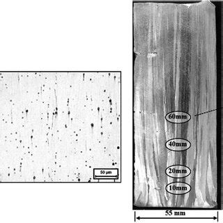 Macrostructure and longitudinal microstructure of the Al-2.5wt.%Pb and ...