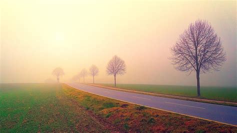 Sunrise, Morning fog, Dawn, Landscape, Foggy, Trees, nature landscape ...