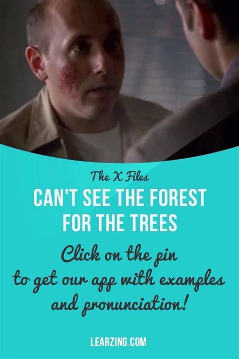 idiom "Can't See The Forest For The Trees" [Video] | English lessons ...