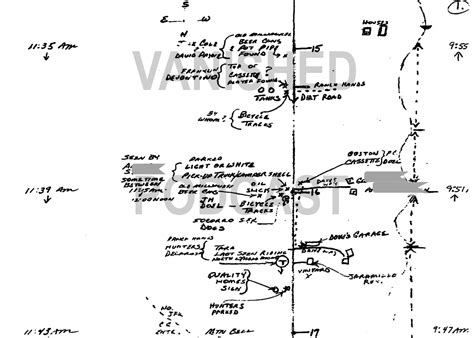 Case File — The Tara Calico Investigation