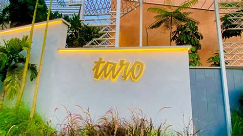 Taro, pan asian kitchen & bar, Jubilee Hills, Road no 10, Hyderabad ...