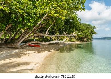 View Beach Aore Island Republic Vanuatu Stock Photo (Edit Now) 796126204