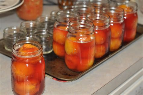 Preserving fruit, whole. | Heli-Claire's Kitchen