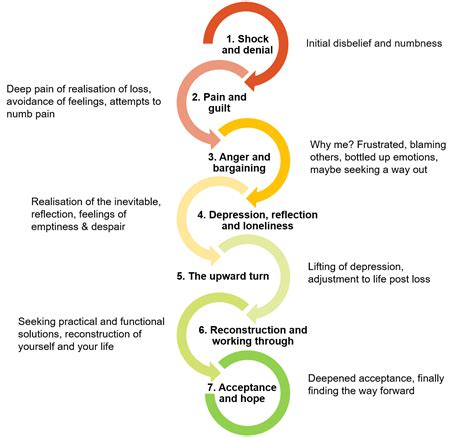 Stages Of Grief Chart