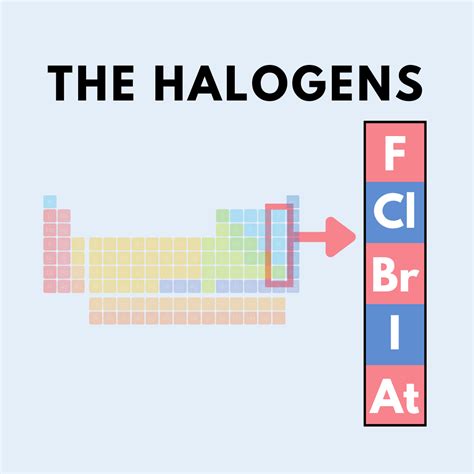 Halogens Periodic Table