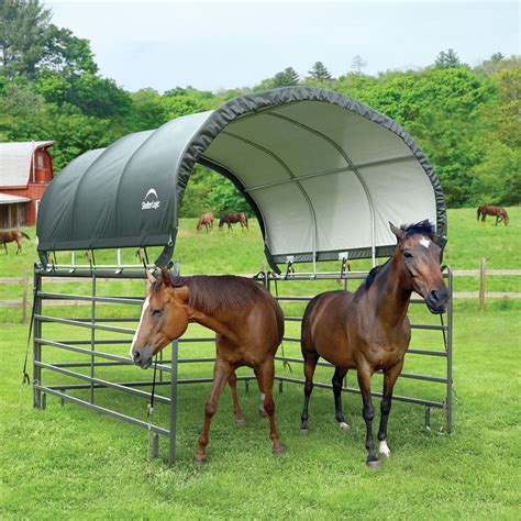 How to Build DIY Horse Shelter on a Budget? Portable Ideas