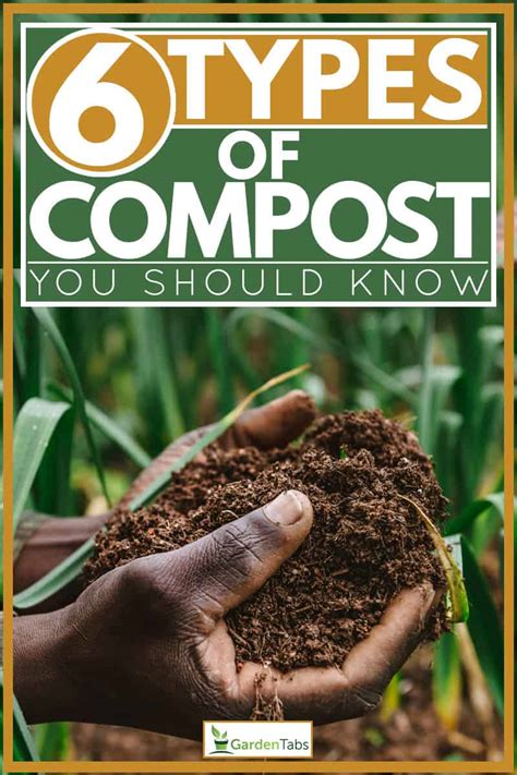 6 Types Of Compost You Should Know