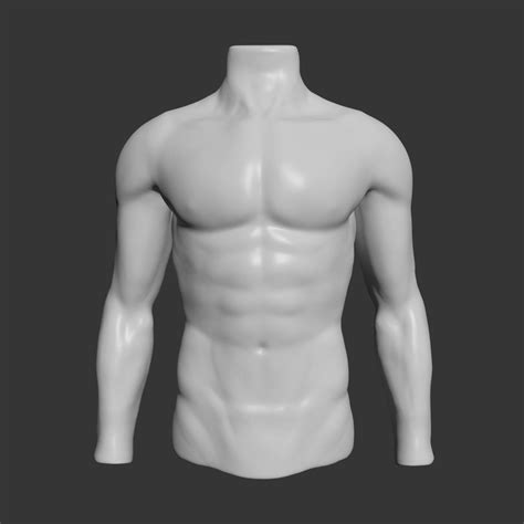 Plastic Standing Male Torso Mannequin, Size: 3 Feet (height), | ID ...