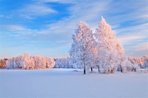 extreme-cold-landscape - Holborn