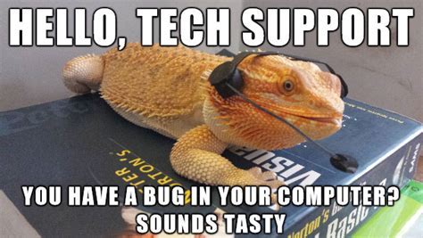 11 Must-See Bearded Dragon Memes That'll Brighten Your Day!