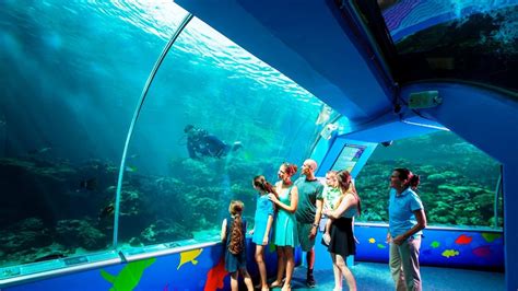 Reef HQ Townsville aquarium to be demolished as Reef Authority scraps ...