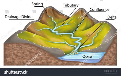 14 Watershed Profile Images, Stock Photos & Vectors | Shutterstock