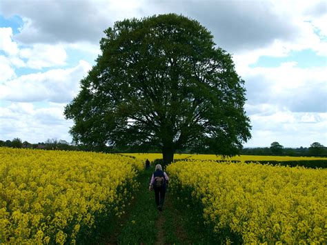 Whitchurch Shropshire Walking Festival - World Walking Festivals