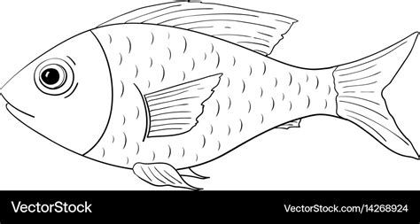 Fish outline doodle Royalty Free Vector Image - VectorStock