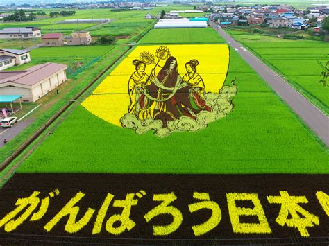 Rice Paddy Art | TOHOKU x TOKYO (JAPAN)