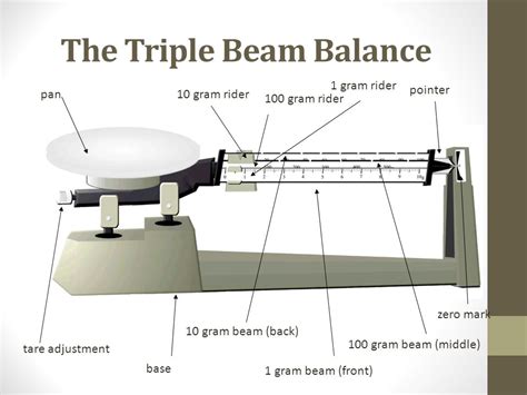 Triple Beam Balance Drawing at GetDrawings | Free download