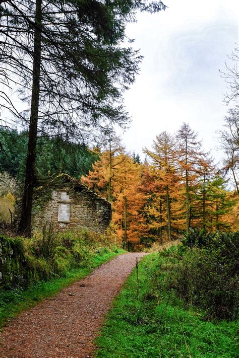 Macclesfield Forest - Love from Scotland