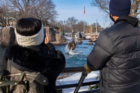 Enjoy an all-outdoor visit to the Bronx Zoo - Bronx Zoo