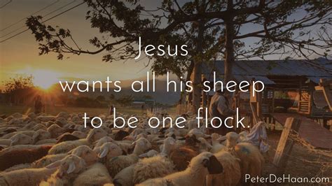 Jesus’s Other Sheep (Christian Living)