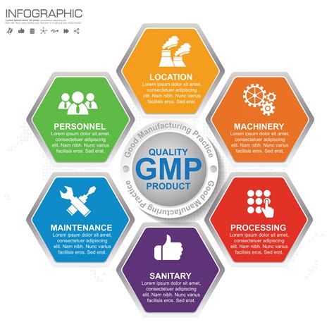 GMP Good Manufacturing Practice 6 heading of infographic template with ...