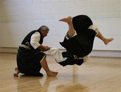 Shorinji Kempo Aikido, Kempo Karate, Okinawan Karate, Dojo Ideas ...