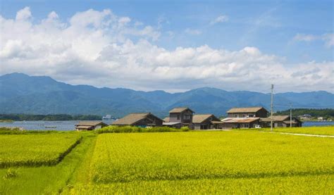 Guide to Akiya: Vacant Houses in the Japanese Countryside for a Steal ...