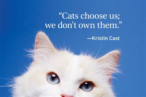 Cat Quotes Every Cat Owner Can Appreciate | Reader's Digest Canada