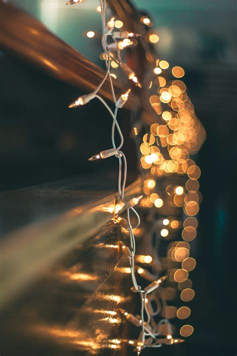 20+ Best Free Fairy Lights Pictures on Unsplash