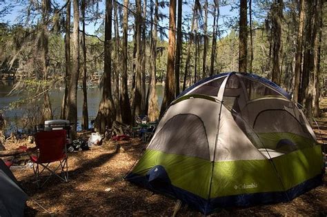 Camping On The Suwannee River - CAMPING UIE