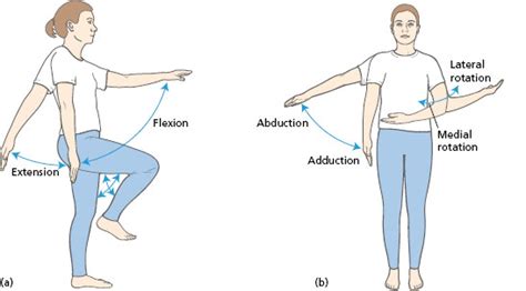 Normal Values For Ankle Movements A B Flexion